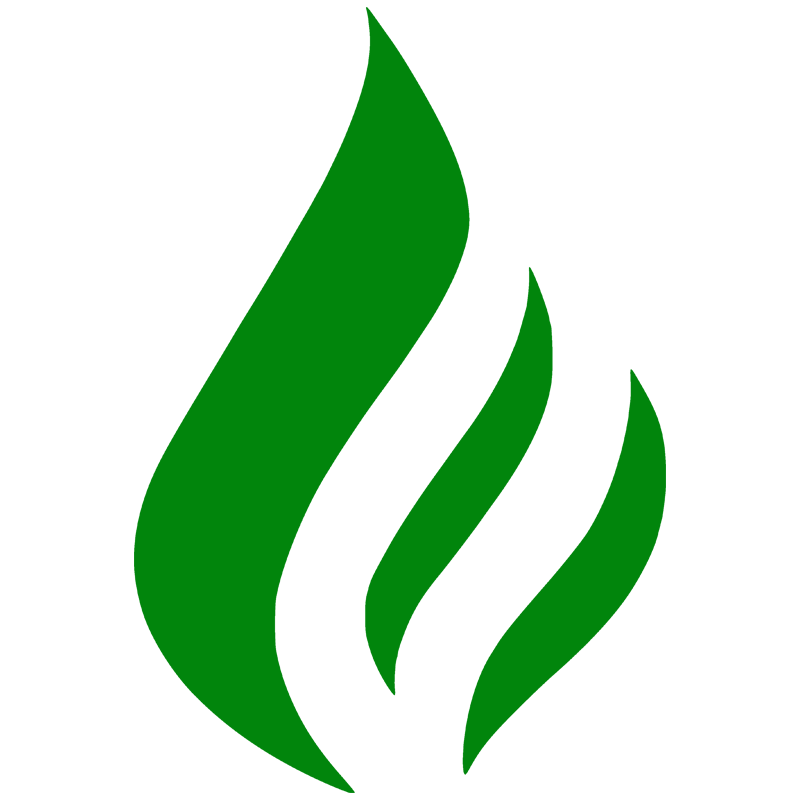 FLAME's logo